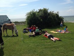 IMG_1377_web